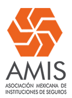 logo_AMIS